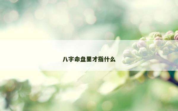 八字命盤里才指什么