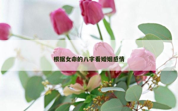 根據(jù)女命的八字看婚姻感情