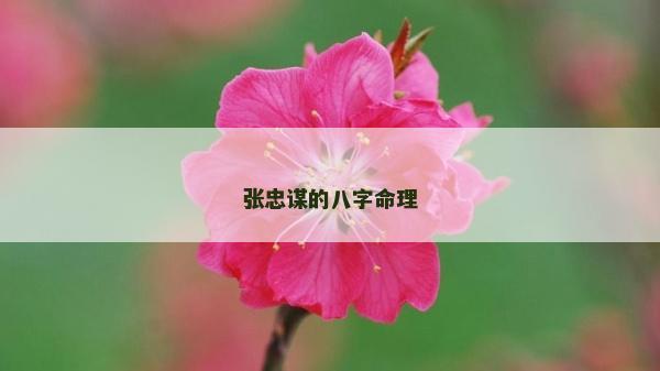 張忠謀的八字命理