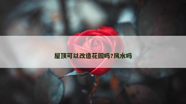 屋頂可以改造花園嗎?風水嗎