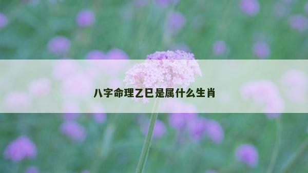 八字命理乙巳是屬什么生肖 八字命理乙巳是屬什么生肖