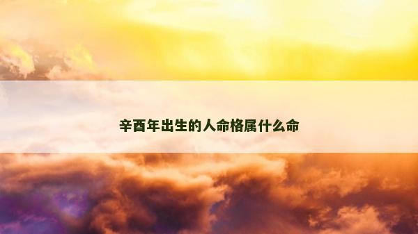 辛酉年出生的人命格屬什么命
