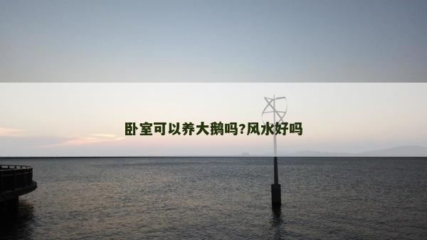 臥室可以養大鵝嗎?風水好嗎