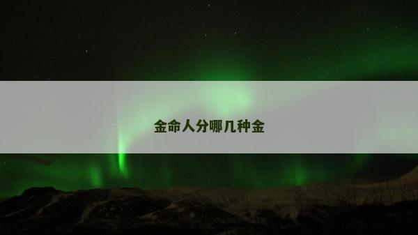 金命人分哪幾種金