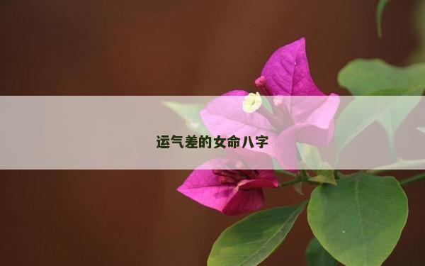運氣差的女命八字