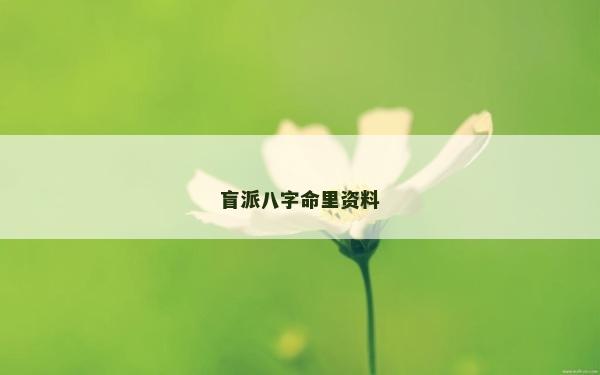 盲派八字命里資料