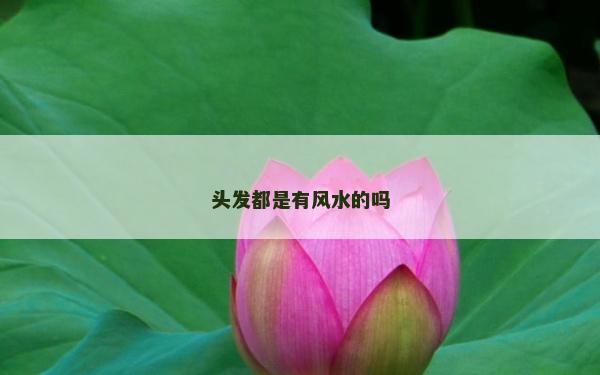 頭發(fā)都是有風(fēng)水的嗎