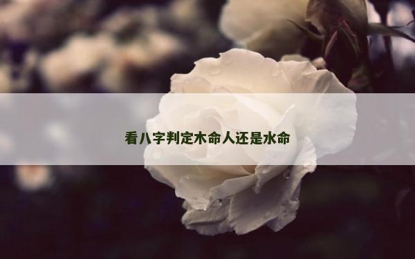 看八字判定木命人還是水命