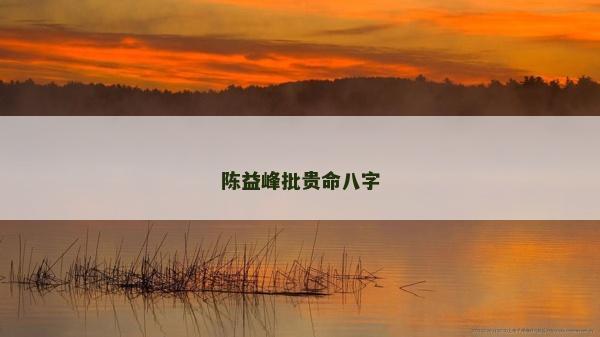 陳益峰批貴命八字
