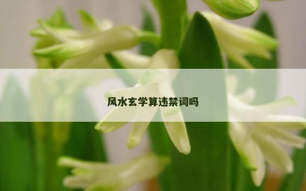 風(fēng)水玄學(xué)算違禁詞嗎