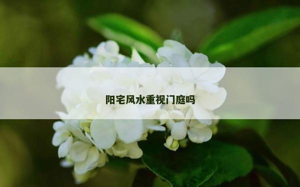 陽宅風水重視門庭嗎
