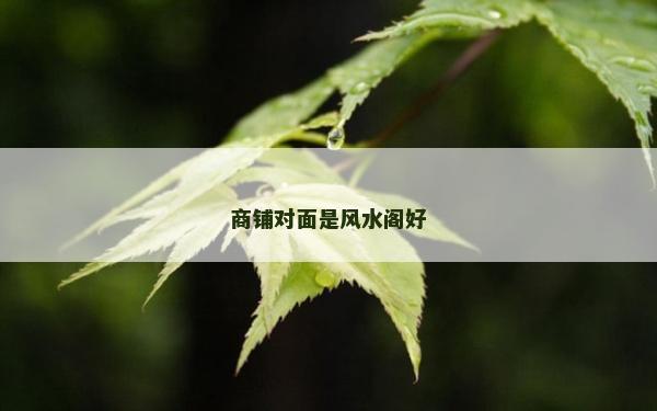 商鋪對面是風水閣好