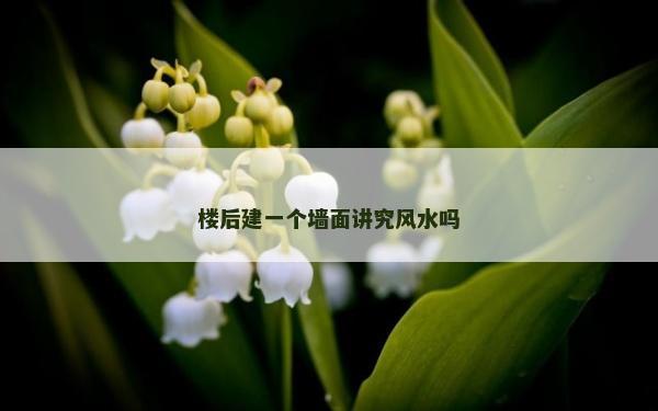 樓后建一個墻面講究風水嗎