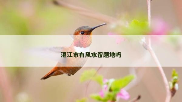 湛江市有風(fēng)水留題地嗎