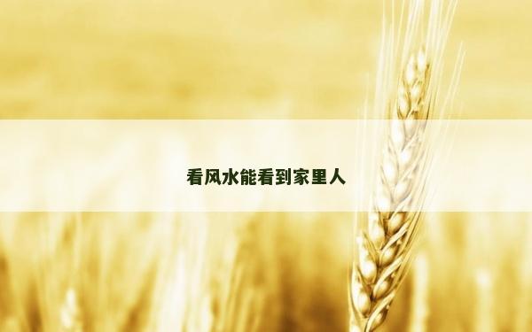 看風水能看到家里人
