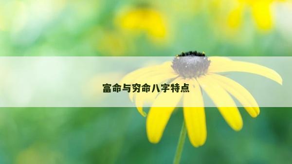 富命與窮命八字特點