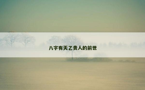 八字有天乙貴人的前世