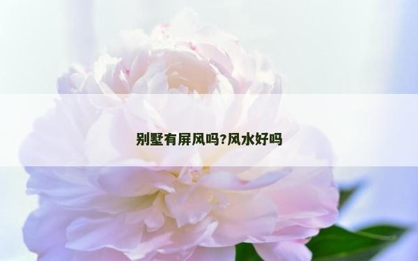 別墅有屏風嗎?風水好嗎