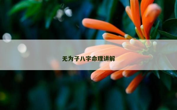 無為子八字命理講解