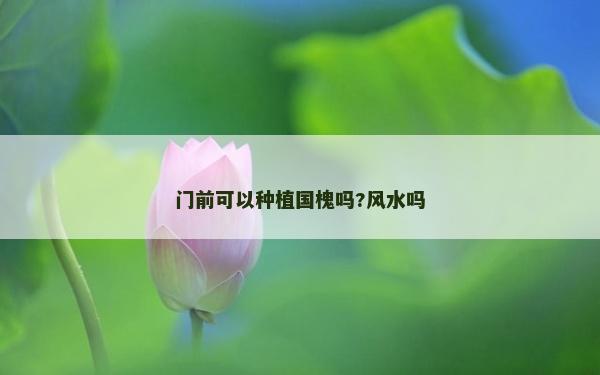 門前可以種植國槐嗎?風水嗎