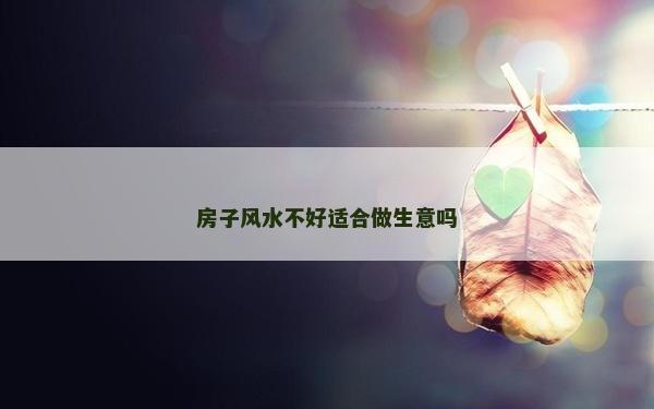 房子風水不好適合做生意嗎 房子風水不好適合做生意嗎