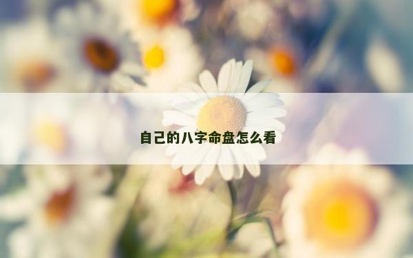 自己的八字命盤怎么看