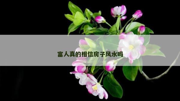 富人真的相信房子風水嗎