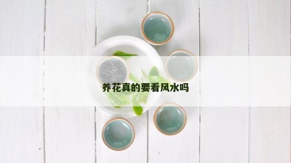 養花真的要看風水嗎