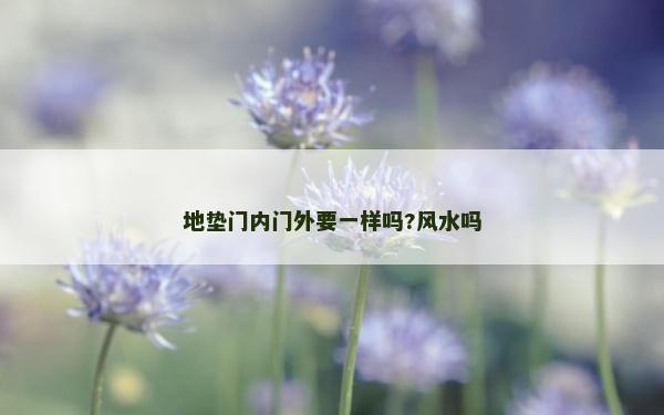 地墊門內(nèi)門外要一樣嗎?風(fēng)水嗎