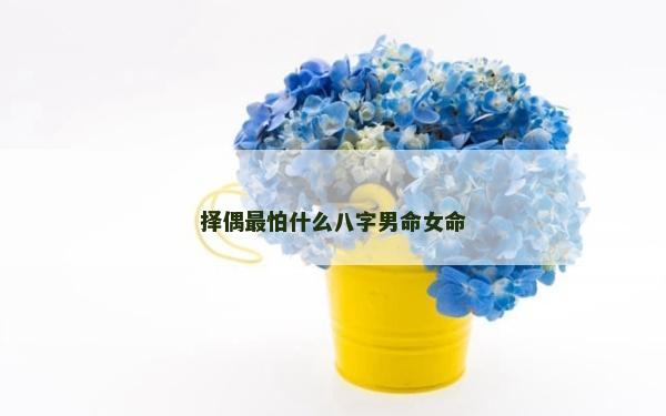 擇偶最怕什么八字男命女命