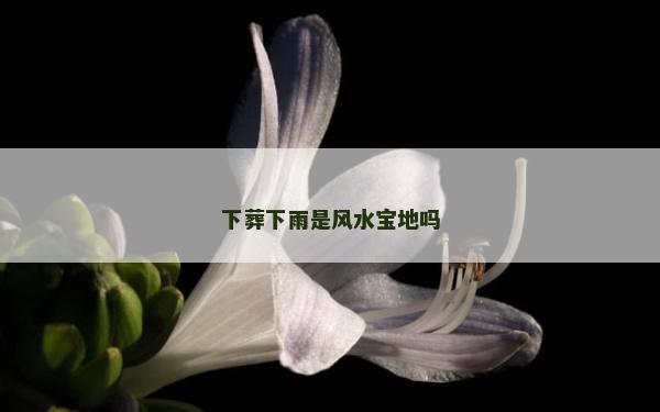 下葬下雨是風水寶地嗎