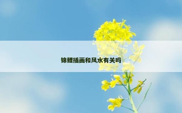 錦鯉插畫和風水有關嗎 錦鯉插畫和風水有關嗎