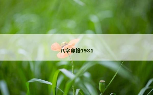 八字命格1981