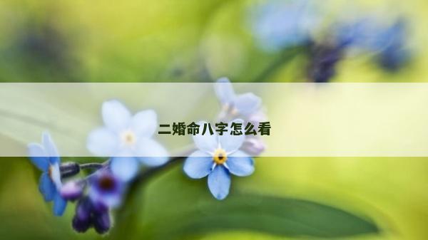二婚命八字怎么看