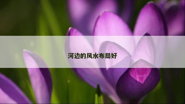 河邊的風水布局好 河邊的風水布局好