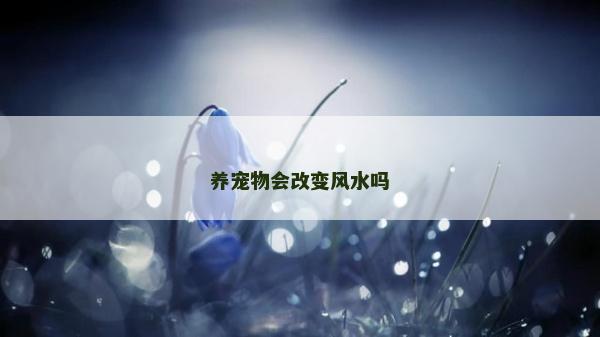 養寵物會改變風水嗎