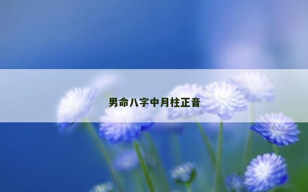 男命八字中月柱正音