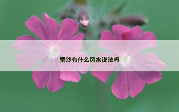 蠶沙有什么風水說法嗎