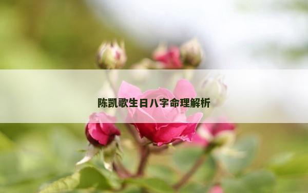 陳凱歌生日八字命理解析