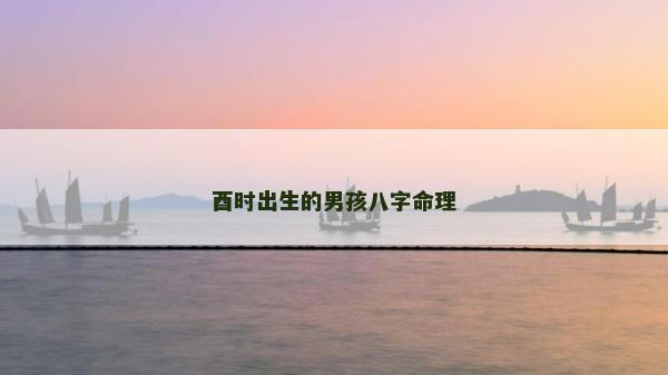 酉時出生的男孩八字命理