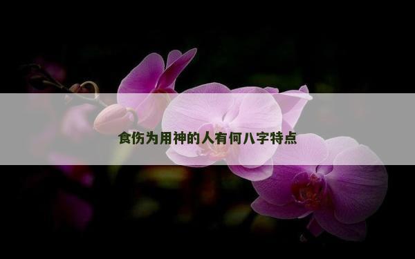 食傷為用神的人有何八字特點