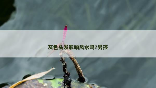 灰色頭發(fā)影響風(fēng)水嗎?男孩 灰色頭發(fā)影響風(fēng)水嗎?男孩
