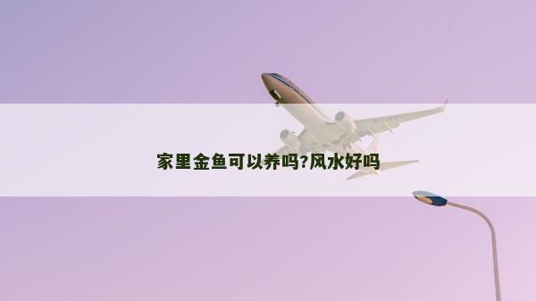家里金魚可以養嗎?風水好嗎