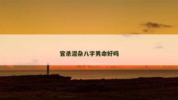 官殺混雜八字男命好嗎