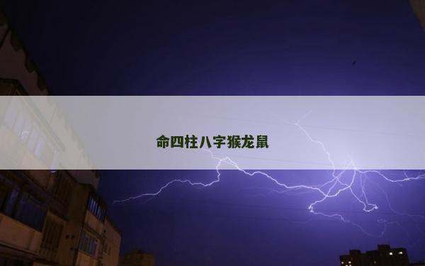 命四柱八字猴龍鼠