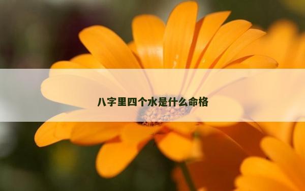 八字里四個水是什么命格 八字里四個水是什么命格