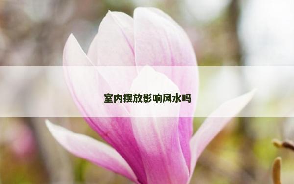 室內擺放影響風水嗎 室內擺放影響風水嗎