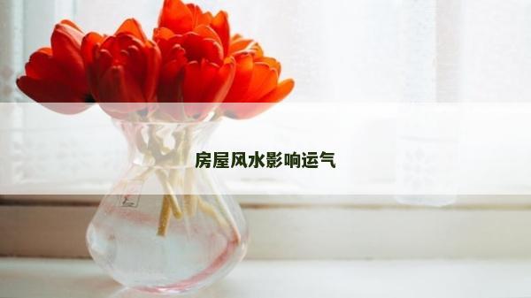 房屋風水影響運氣