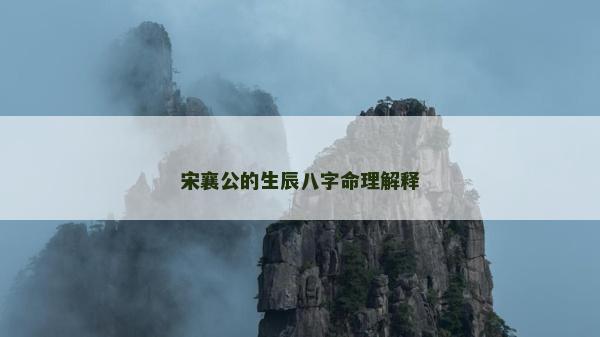 宋襄公的生辰八字命理解釋