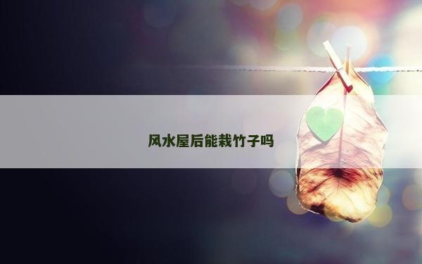 風(fēng)水屋后能栽竹子嗎